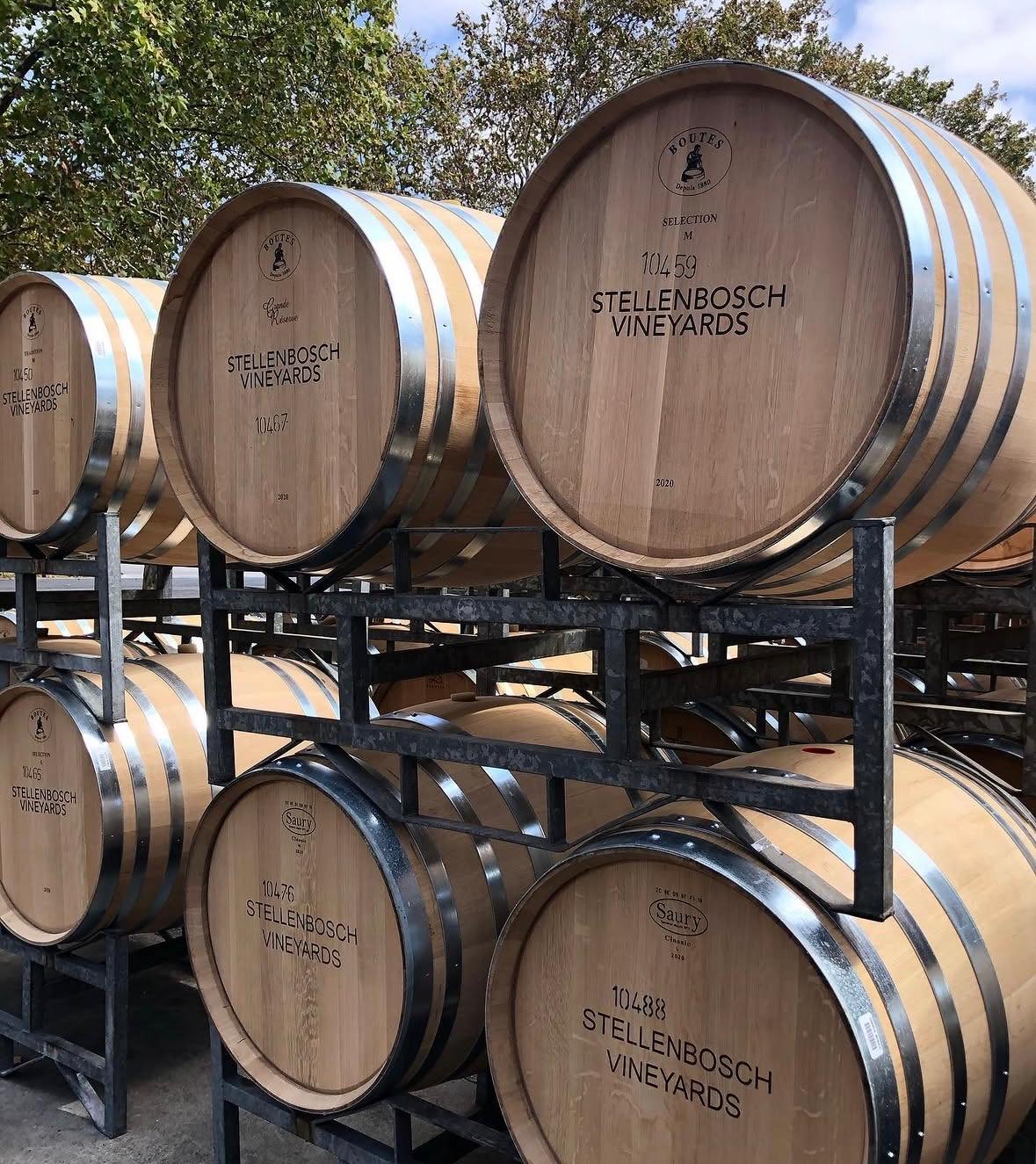 Stellenbosch Vineyards
